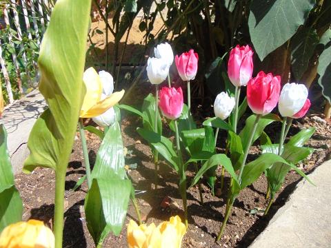 Tulipano Olandese Artificiale H 40 in poliestere - Sconti per Fioristi e Aziende .