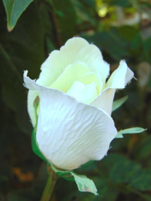Bocciolo di rosa velvet in poliestere - Sconti per Fioristi e Aziende .