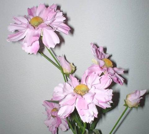 Aster Spray x 5 Artificiale in poliestere - Sconti per Fioristi e Aziende