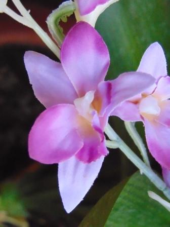 Orchidea Artificiale x 7 H 60 - Sconti per Fioristi e Aziende in polyester