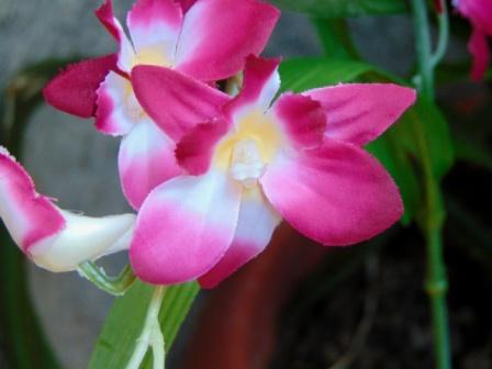Orchidea Artificiale x 7 H 60 - Sconti per Fioristi e Aziende in polyester