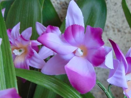 Orchidea Artificiale x 7 H 60 - Sconti per Fioristi e Aziende in polyester