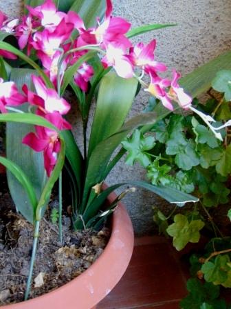 Orchidea Artificiale x 7 H 60 - Sconti per Fioristi e Aziende in polyester