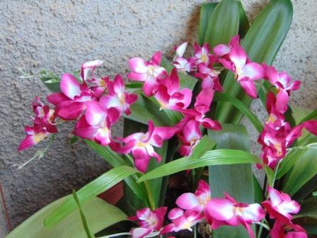 Orchidea Artificiale x 7 H 60 - Sconti per Fioristi e Aziende in polyester