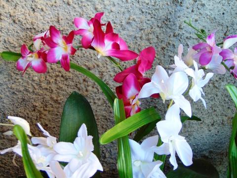 Orchidea Artificiale x 7 H 60 - Sconti per Fioristi e Aziende in polyester