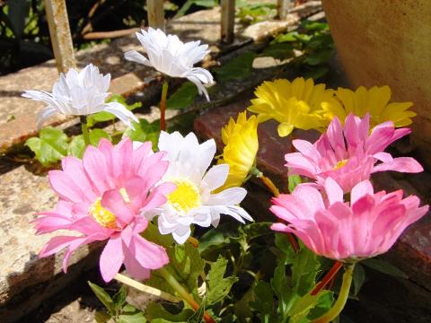 Colla Fiorissima da 5 litri Rapida Trasparente - Sconti per Fioristi e  Aziende - San Michele di Ganzaria (Catania)