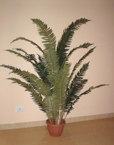 Felce Tropicale H 185 x 24 lvs - Sconti per Fioristi e Aziende - Artificiale