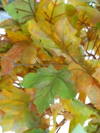 Acero Cadente x 180 foglie a toni Autunnali - Sconti per Fioristi e Aziende