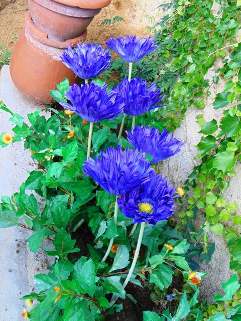 Gerbera Large Artificiale H 75 in poliestere - Sconti per Fioristi e Aziende