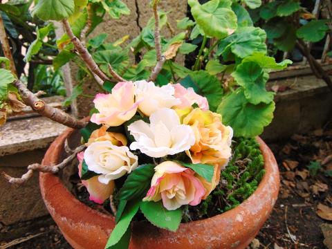Rosa Open Bush x 15 Artificiale in poliestere - Sconti per Fioristi e Aziende