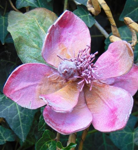 Magnolia Branch x 3 in Polifoam - Sconti per Fioristi e Aziende .
