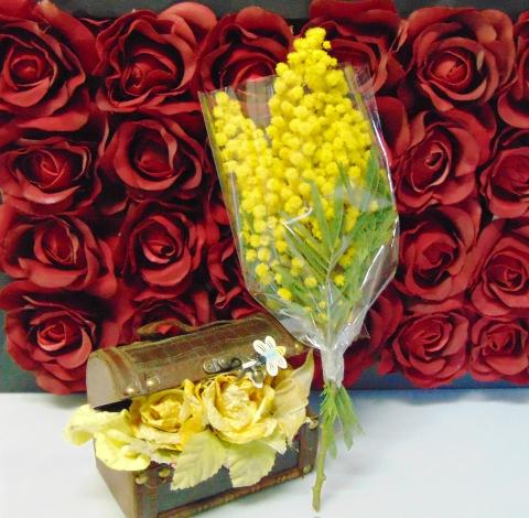 ESAURITA Mimosa fresca in busta  - Sconti per Fioristi e Aziende - Trasparente rami da cm. 20/25 - 30/40 - 45/50