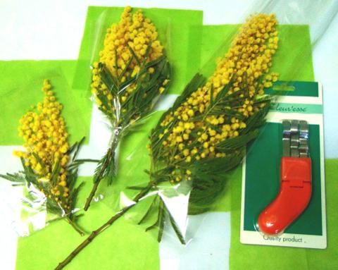 ESAURITA Mimosa fresca in busta  - Sconti per Fioristi e Aziende - Trasparente rami da cm. 20/25 - 30/40 - 45/50