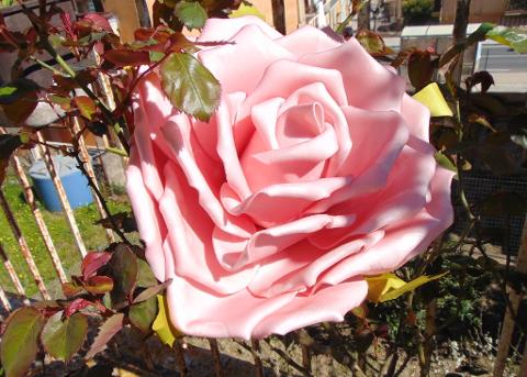 Rosa Aperta cm. 25 in polifoam con stelo - Sconti per Fioristi e Aziende