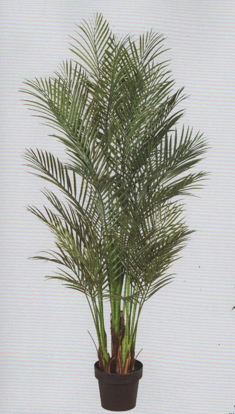 Areca Palm H 160 in vaso  - Sconti per Fioristi e Aziende - Artificiale con 1076 foglie