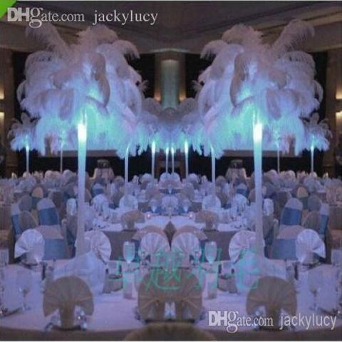 Piume di struzzo cm. 60/70  - Sconto per Fioristi e Aziende - in vari colori