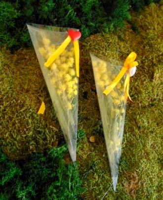 ESAURITA Cono di Mimosa fresca H 20 - Sconti per Fioristi e Aziende  - in PVC trasparente