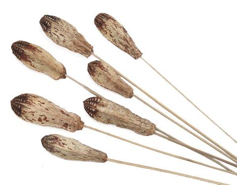 Mehogny Naturale H 65 Steccato Conf. 6 pezzi - Sconti per Fioristi e Aziende