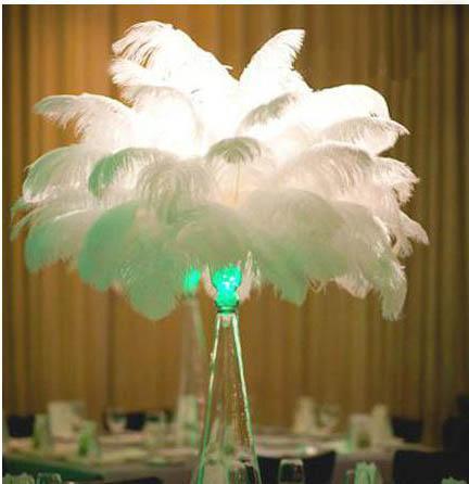 Piume di struzzo cm. 60/70  - Sconto per Fioristi e Aziende  - in vari colori