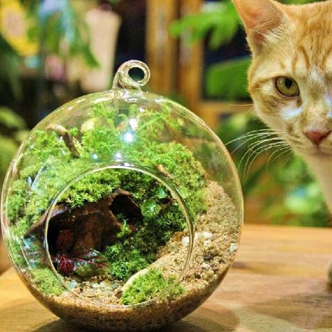 Sfera in vetro con foro Dm. 13 H 13,5 - Sconti per Fioristi e Aziende