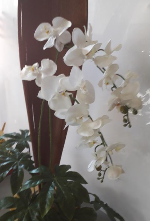 Orchidea Falenopsis H 98 - Sconti per Fioristi e Aziende - Artificiale
