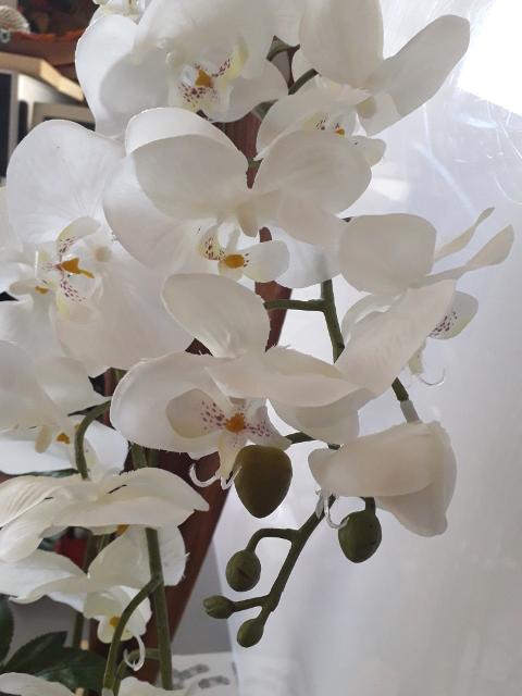 Orchidea Falenopsis H 98 artificiale - Sconti per Fioristi e Aziende