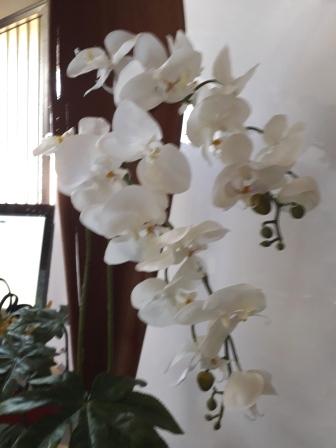 Orchidea Falenopsis H 90 artificiale - Sconti per Fioristi e Aziende