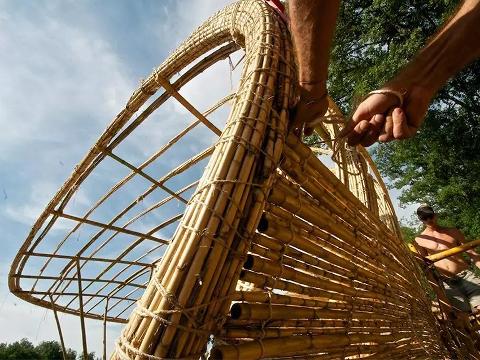 Canna Comune di fiume H 300 dm. 15 - 20 - 30 - Sconti per Fioristi e Aziende