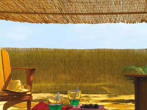 Arella di Canniccio Legato  - Sconti per Fioristi e Aziende . - Canna Intera H 50 x 3 metri