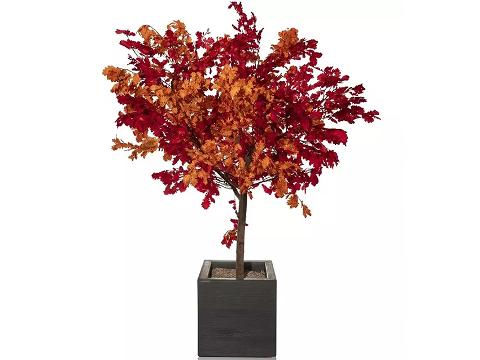 Quercia Naturale Stabilizzata  - Sconti per Fioristi e Aziende - Busta Kg.1 Rami H 90/100