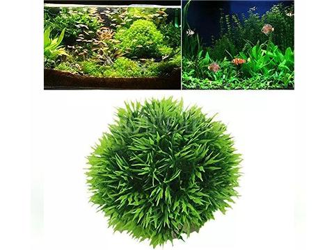 Erba in platica dm. 16 e 26 - Sconti per Fioristi e Aziende - Sfera artificiale