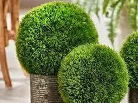 Erba in platica dm. 16 e 26 - Sconti per Fioristi e Aziende - Sfera artificiale