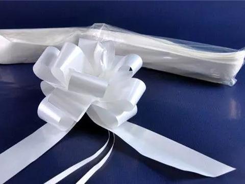 Fiocco Rapid H 31 x 50 fiocchi - Sconti per Fioristi e Aziende - Fiocchi Temo saldati