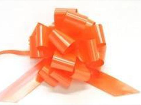Fiocco Rapid H 31 x 50 fiocchi - Sconti per Fioristi e Aziende - Fiocchi Temo saldati