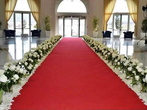 Passatoia Corsia H 100 - Sconto per Fioristi e Aziende . - Venduto a Rotolo mt. 33