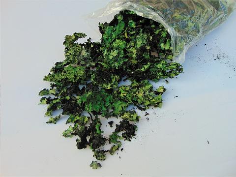 Muschio di Roccia gr. 250  - Sconti per Fioristi e Aziende - Colorato preservato