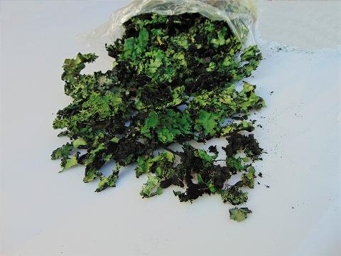 Muschio di Roccia gr. 250  - Sconti per Fioristi e Aziende - Colorato preservato