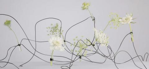 Fialette in plastica misure diverse conf. 100 fiale - Sconti per Fioristi e Aziende