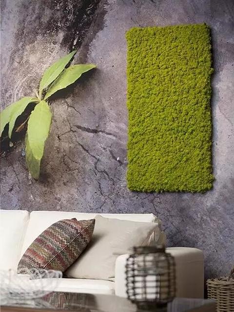 Muschio Nordico Naturale gr. 500 Preservato - Sconti per Fioristi e Aziende Fiorissima Lichene preservato