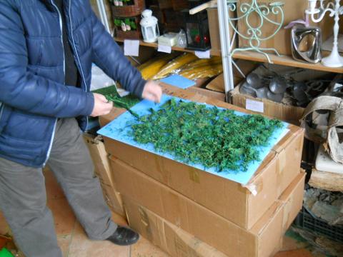 Muschio Dry Moss gr. 940 in Conf. 10 pezzi - Sconti per Fioristi e Aziende