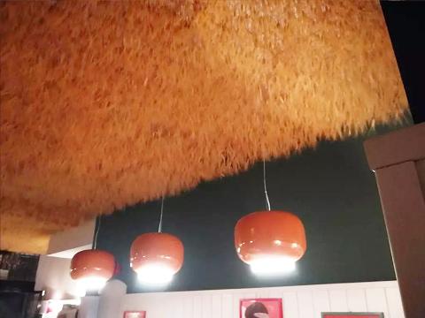 Soffitto Spighe di grano preservate a metro quadrato per Ristoranti, Hotels e Resort