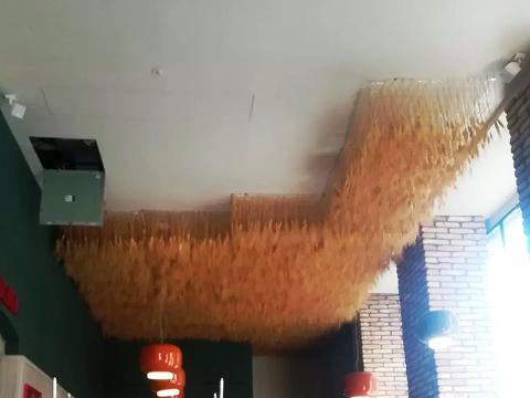 Soffitto Spighe di grano preservate a metro quadrato per Ristoranti, Hotels e Resort