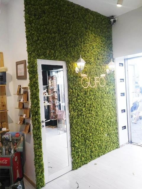 Parete Moss Stabilizzata Wall Moss  - Sconti per Fioristi e Aziende - a metro quadrato
