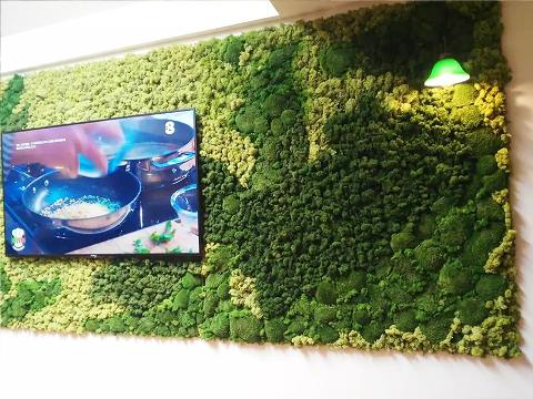 Parete Moss Stabilizzata  - Soluzione personabilizzabile - per eventi e interior designer