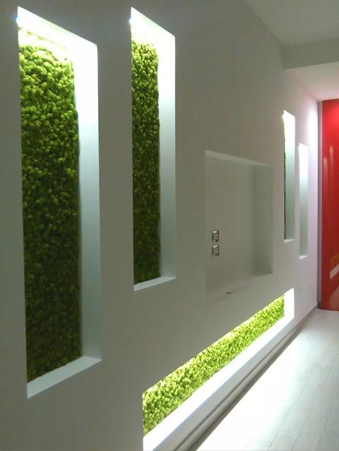 Parete Moss Stabilizzata Wall Moss  - Sconti per Fioristi e Aziende - a metro quadrato
