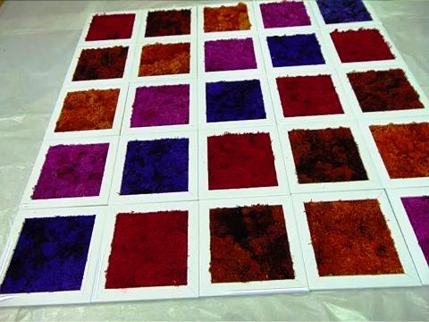 Parete Moss a Scacchiera a metro quadro  - Sconti per Fioristi e Aziende - Con cornici legno cm.20x20