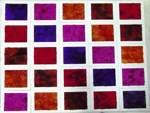 Parete Moss a Scacchiera a metro quadro  - Sconti per Fioristi e Aziende - Con cornici legno cm.20x20