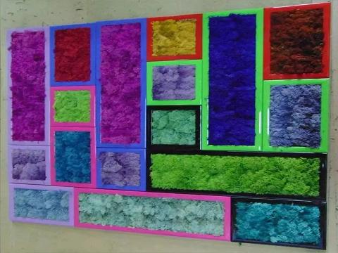 Cornici colorate con Moss  - Soluzione personalizzabile - per eventi e interior designer