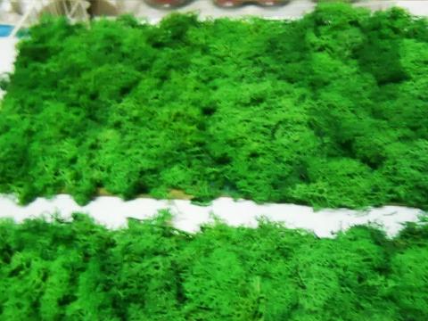 Pannello Moss cm. 40 x 80  Flat Work - Sconti per Fioristi e Aziende