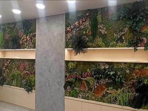 Muri Vegetali Stabilizzati a metro quadrato - Sconti per Fioristi e Aziende